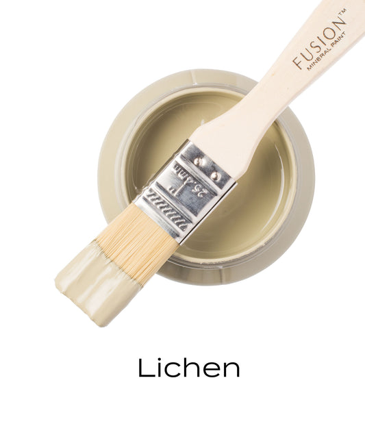 Lichen Fusion Mineral Paint