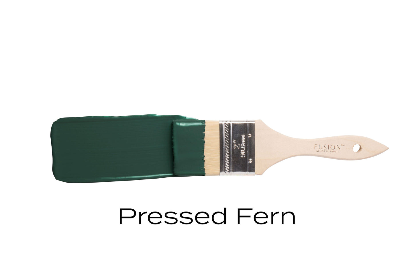 Pressed Fern Fusion Mineral Paint