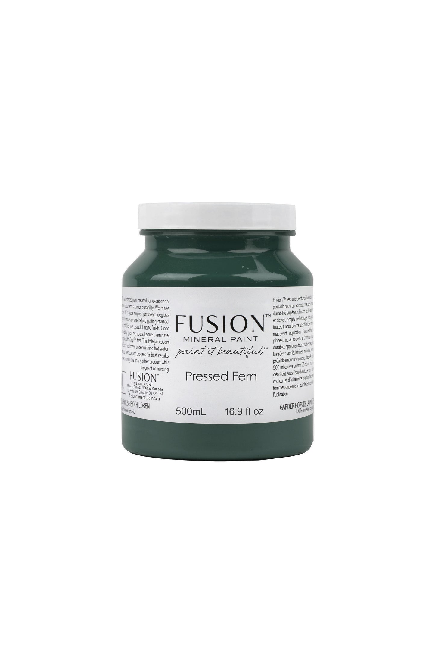 Pressed Fern Fusion Mineral Paint